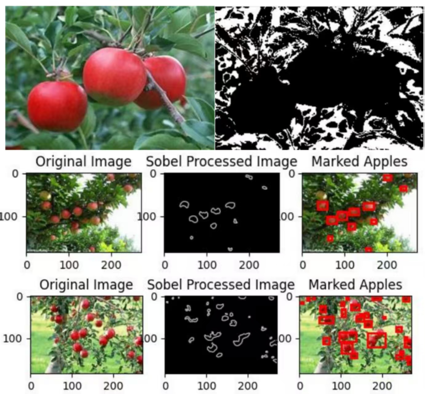 Image Recognition